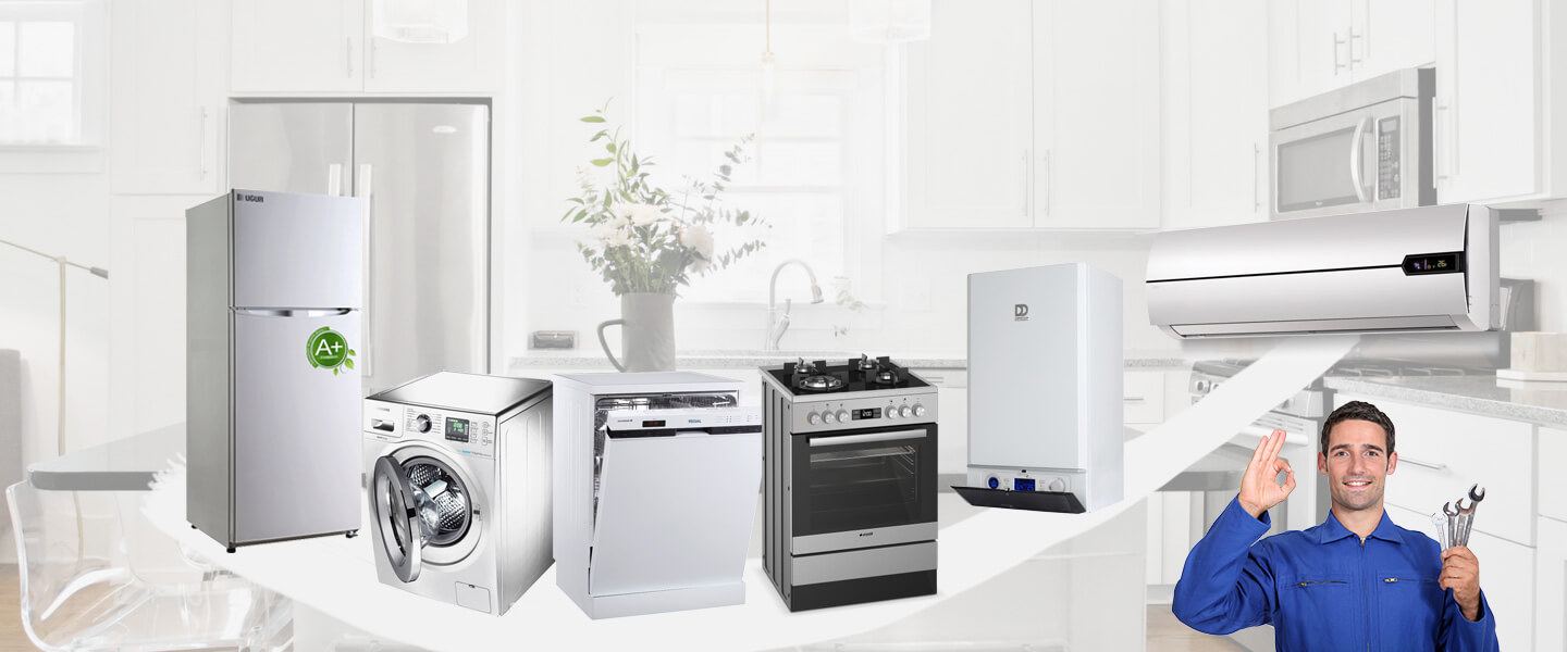 İznik Dominox Servisi